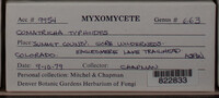 Image Associated With the Occurence